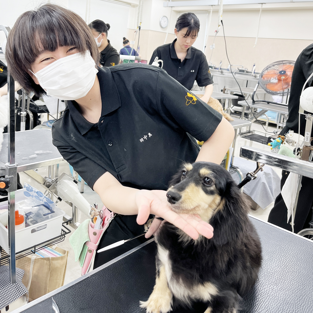 毎日がんばっています！